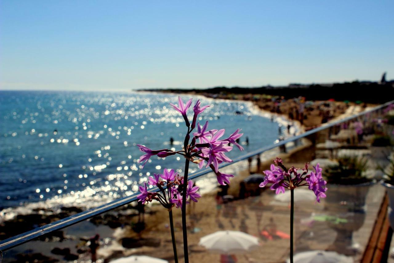 Home Holiday Salento Monica'S House Pescoluse Marina Di Pescoluse Bagian luar foto