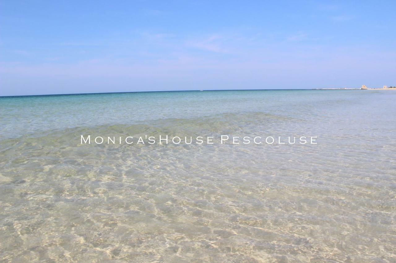Home Holiday Salento Monica'S House Pescoluse Marina Di Pescoluse Bagian luar foto